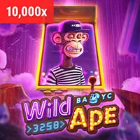 Rubik88 thu thập dữ liệu người dùng một cách an toàn