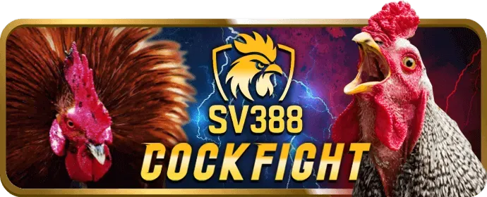 Quà tặng và phần thưởng đặc biệt VIP rubik88 link mới